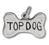 Silver bone-shaped pet tag reading TOP DOG