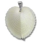 Heart-shaped seashell pendant with silver bail