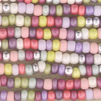 Pastel colored beads strung in rows