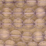 Beige bubble wrap close-up