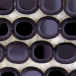 Close-up of purple hollow cylindrical tubes