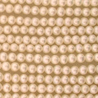 Close-up of cream pearl bead strands