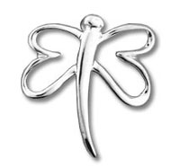 Silver dragonfly brooch on white background