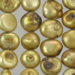 Close-up of lustrous irregular golden pearls