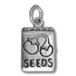 Silver seed packet charm pendant