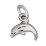 silver dolphin charm pendant