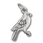 Silver parrot pendant charm
