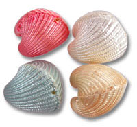 Four pastel-colored seashells arranged together