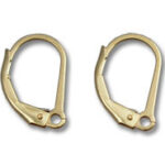 Pair of gold leverback earring hooks