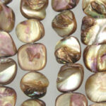 Balone Shell Mother of Pearl