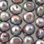 PRL101