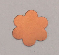 CP010