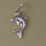 Silver Dolphin Charmv