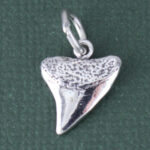 3D Shark Tooth Charm
