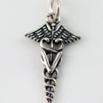 Veterinary Medical Charm