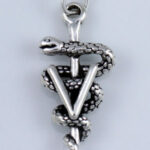 Veterinary Symbol Charm