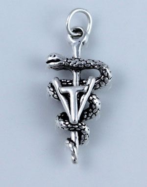 Vet Technician Charm