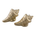 Gold Filled Seashell Earrings